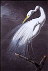 John James Audubon Famous Paintings - Great Egret